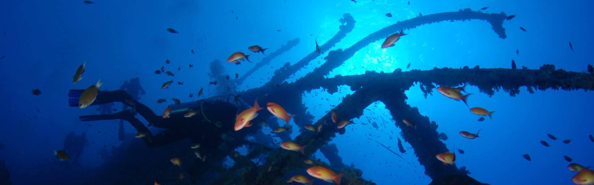 Wreck Diving In Egypt ; Brothers Islands