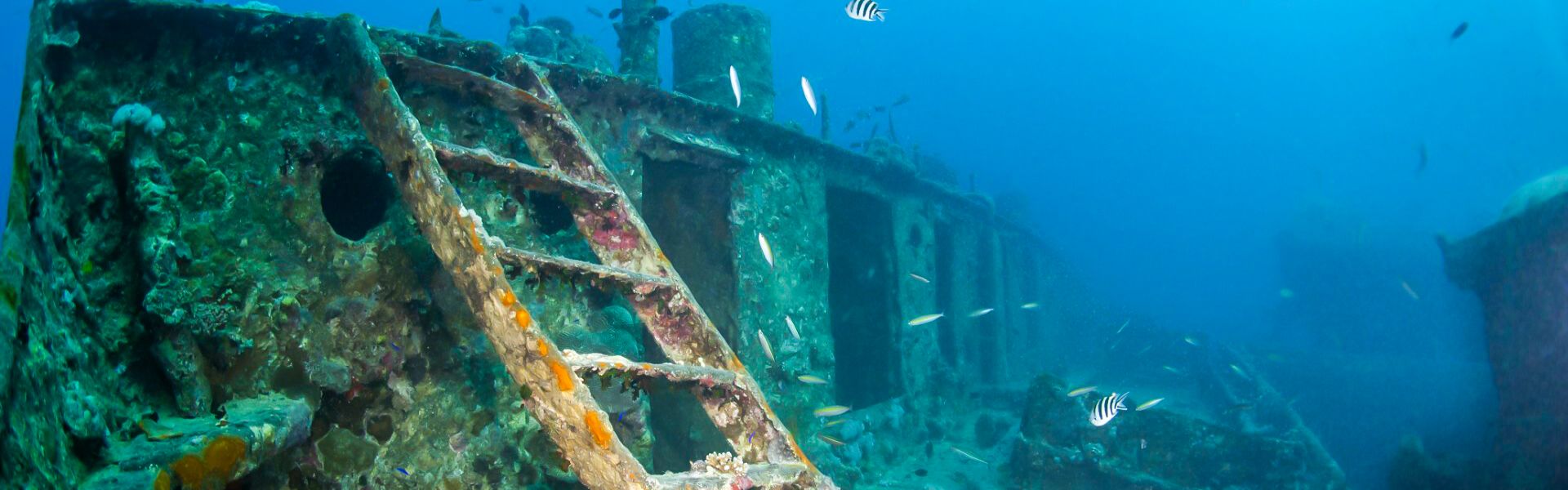 Wreck Diving In Egypt ; Strait of Gubal