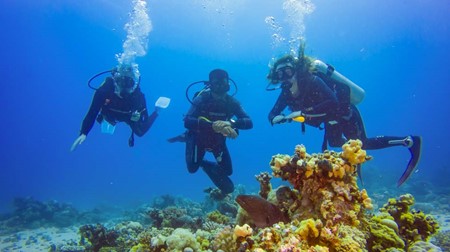 3 Nights & PADI Open Water Course Package